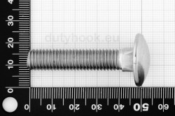 M10x50 Carriage Bolt DIN 603, stainless steel AISI 316