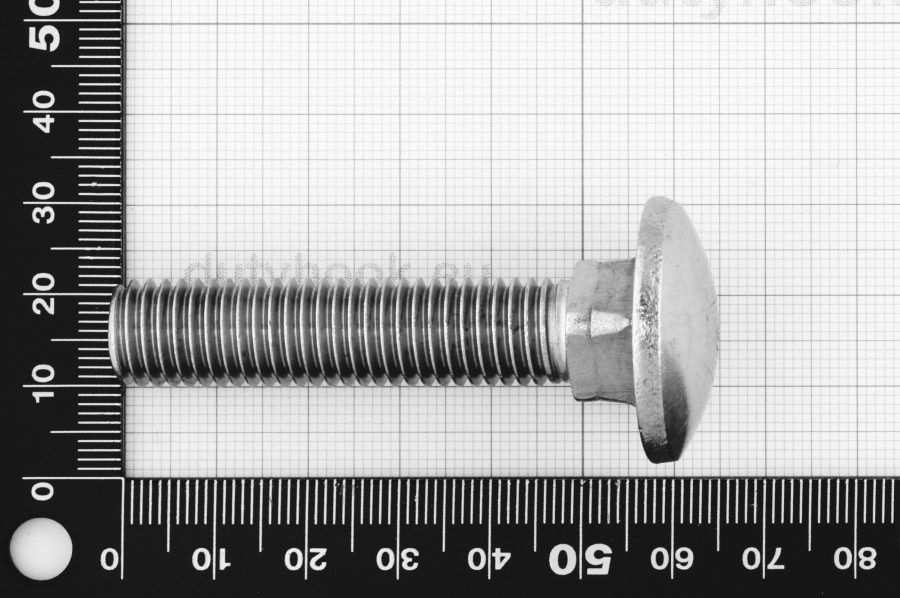 M12x60 Carriage Bolt DIN 603, stainless steel AISI 316