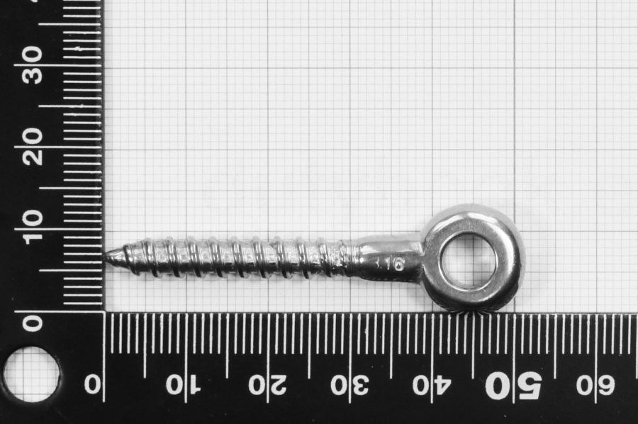 6x40 Eye Bolt with Wood Thread, stainless steel AISI 316