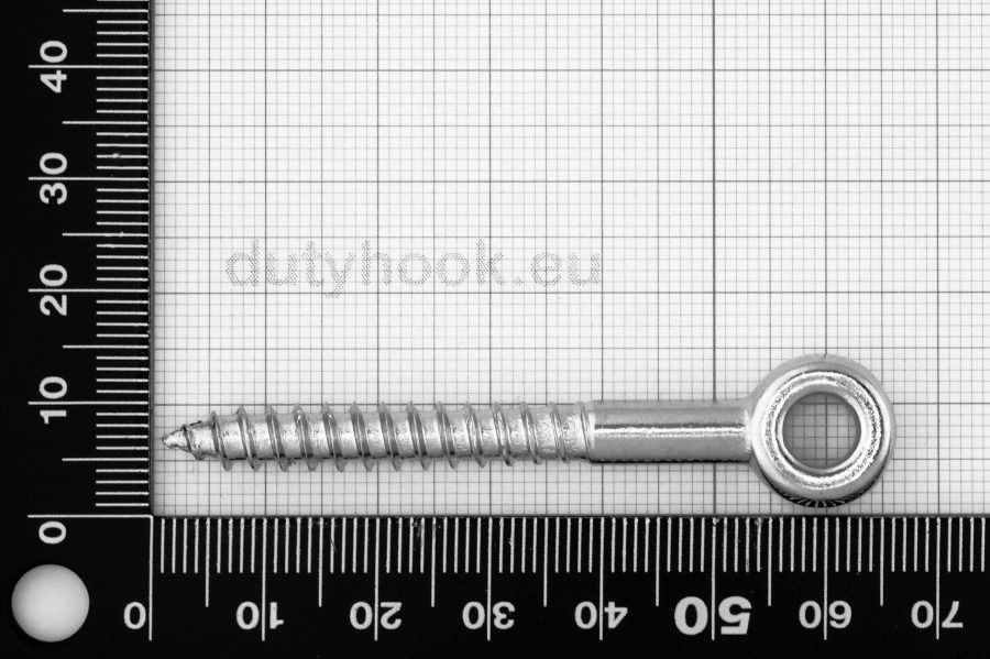 6x50 Eye Bolt with Wood Thread, stainless steel AISI 316