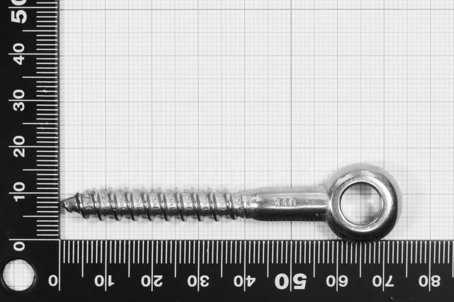 8x60 Eye Bolt with Wood Thread, stainless steel AISI 316
