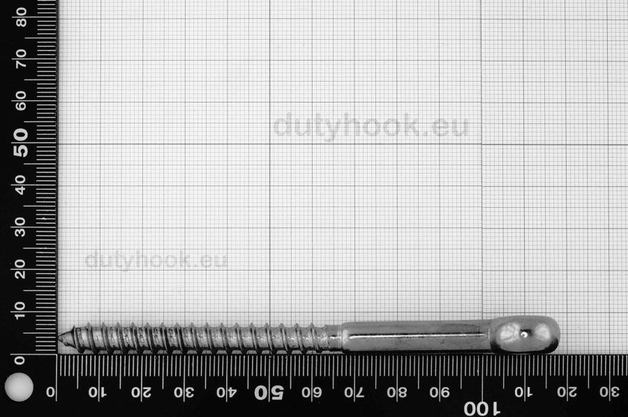 8x100 Eye Bolt with Wood Thread, stainless steel AISI 316 marine grade